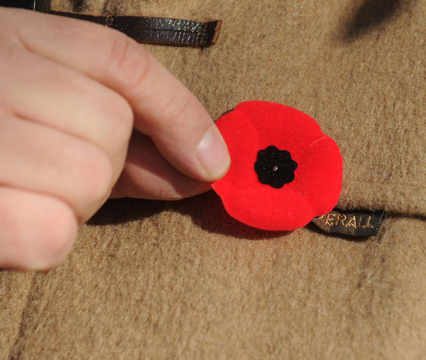 McDonalds Poppies